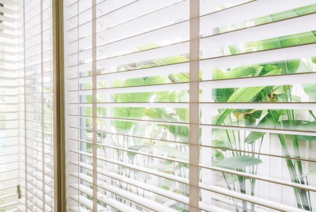 Window Blind