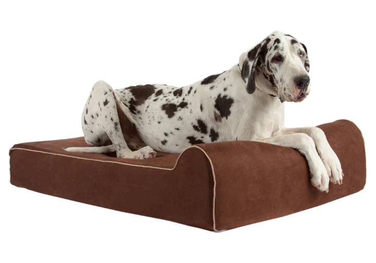 best chew proof dog bed