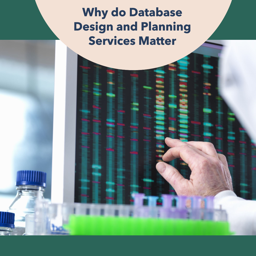 database design and planning services