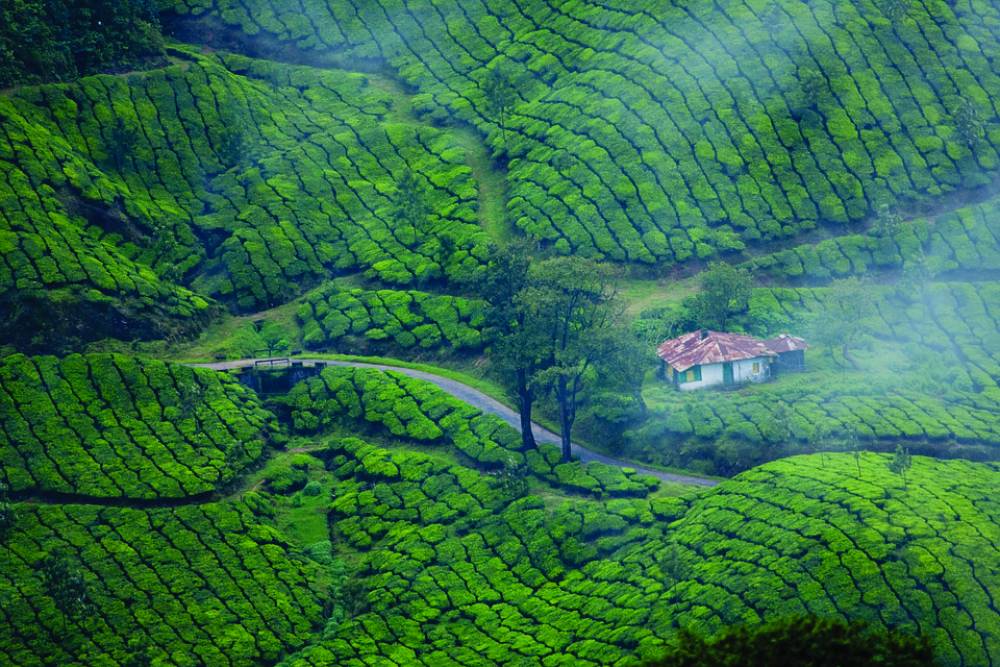 Kerala vacation trip