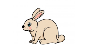 Draw A Rabbit