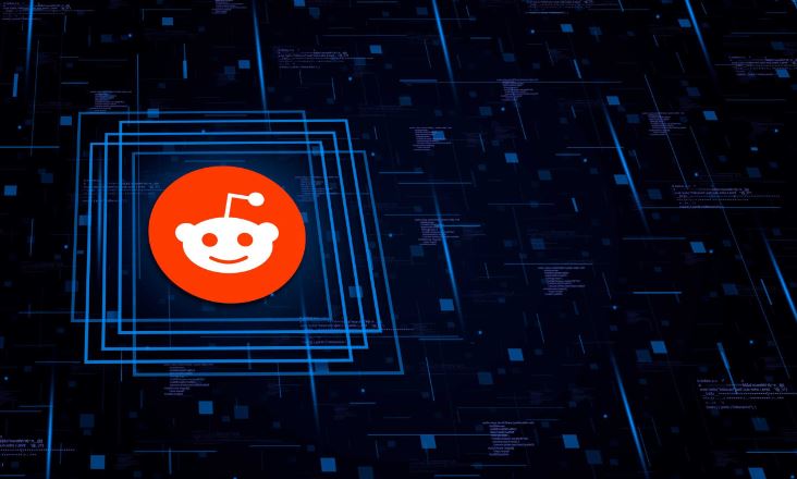 NetReputation on Reddit